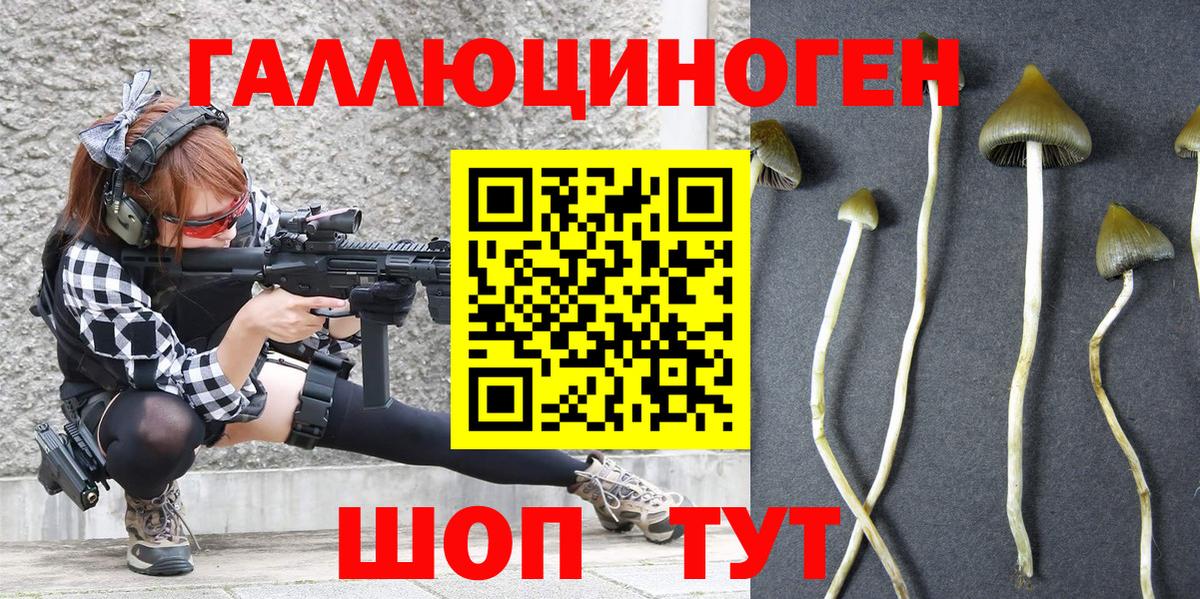 Псилоцибиновые грибы Magic Shrooms Ишимбай